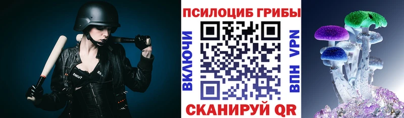 где найти наркотики  Полтавская  Псилоцибиновые грибы GOLDEN TEACHER 